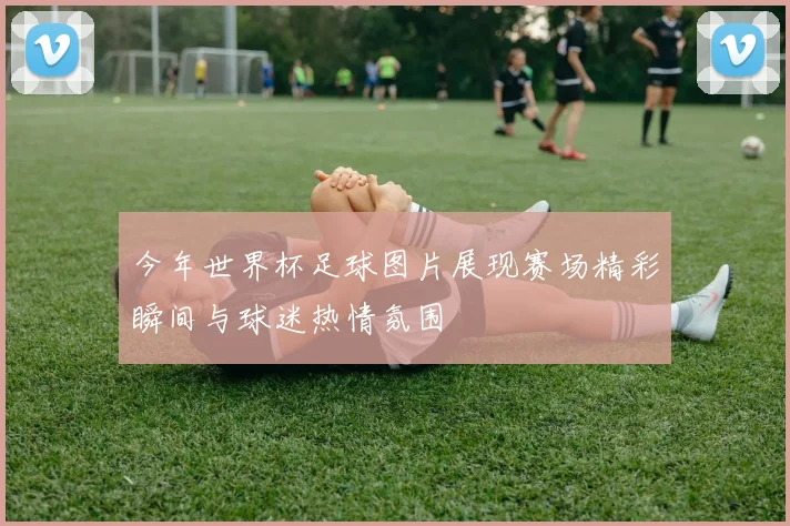 今年世界杯足球图片展现赛场精彩瞬间与球迷热情氛围