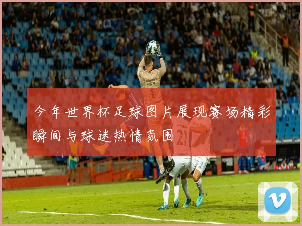 今年世界杯足球图片展现赛场精彩瞬间与球迷热情氛围