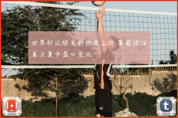 世界杯让球竞彩热度上升 赛前投注看点集中盘口变化